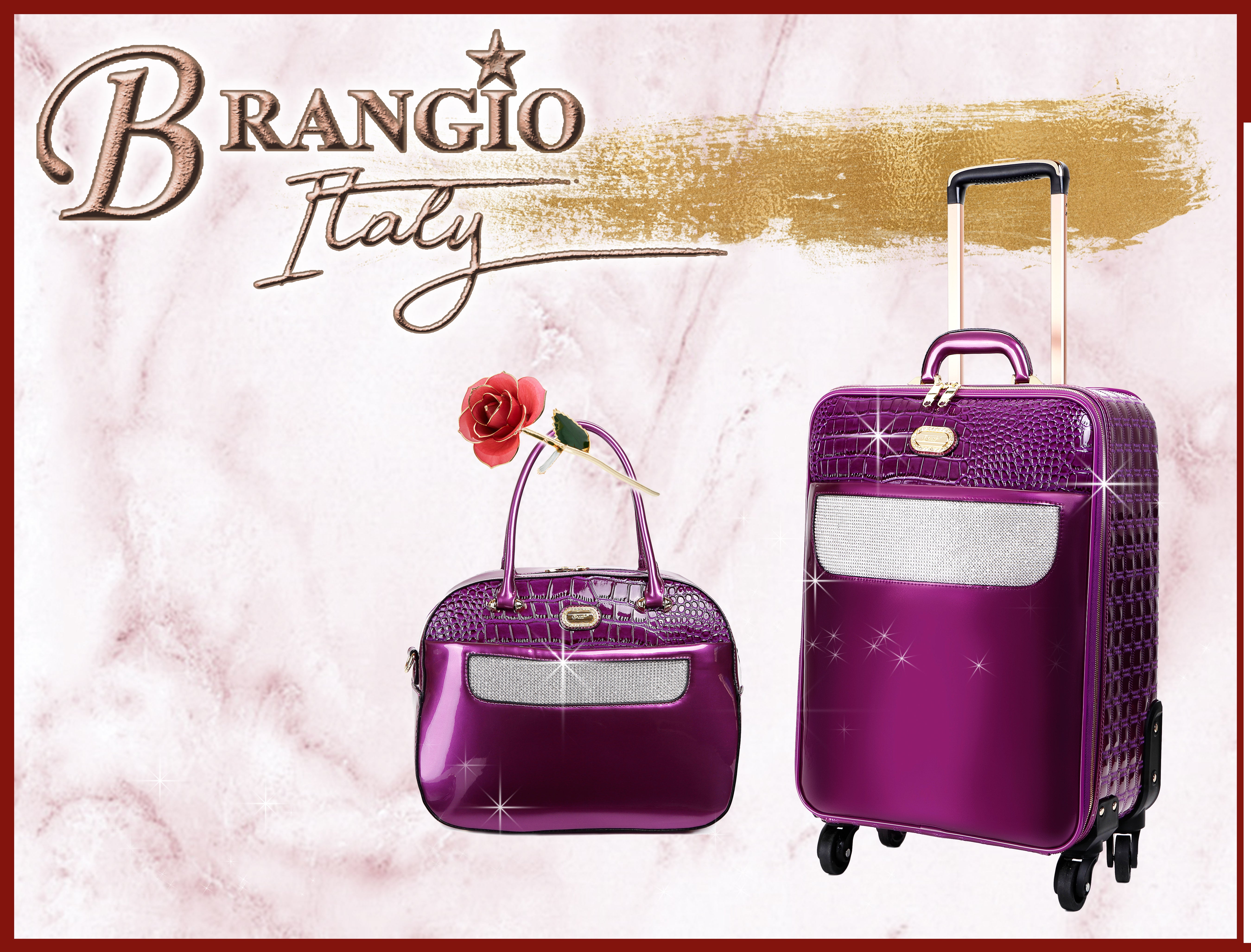Brangio Italy Luxury Spinner Wheeled Carry-On Luggage+Handbag[2pc]