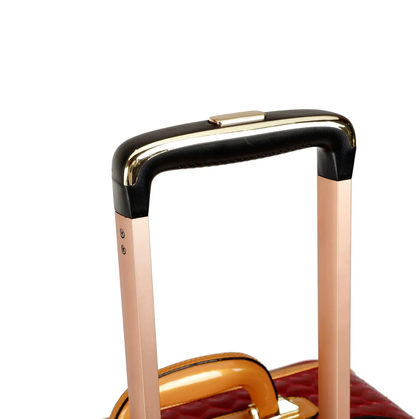 Brangio Italy Luxury Glamour Luxe Spinner Wheeled Carry-On Luggage