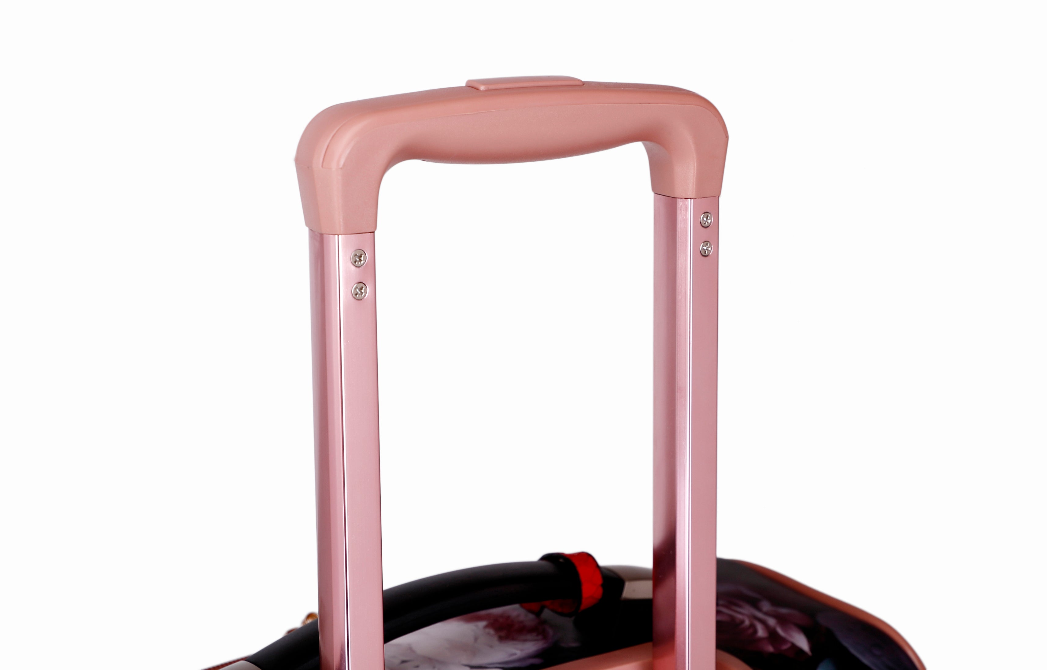 Queen Arosa Carry-on with Spinners - Brangio Italy Co.